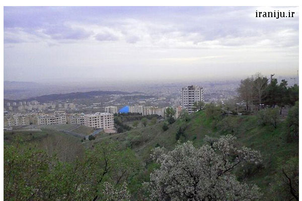 فضای سبز شهرک شهید محلاتی تهران